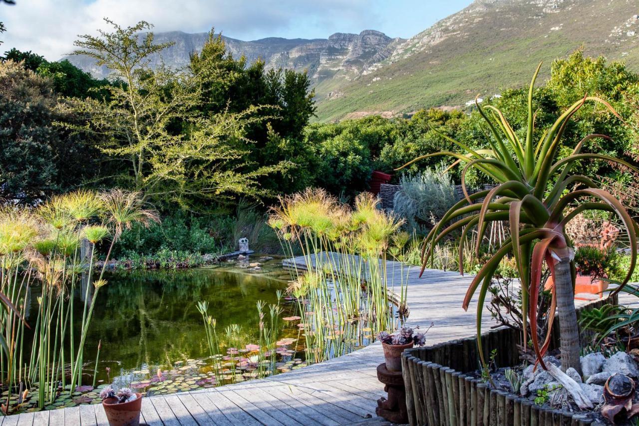 Leopardstone Hill Villa Noordhoek Exterior photo